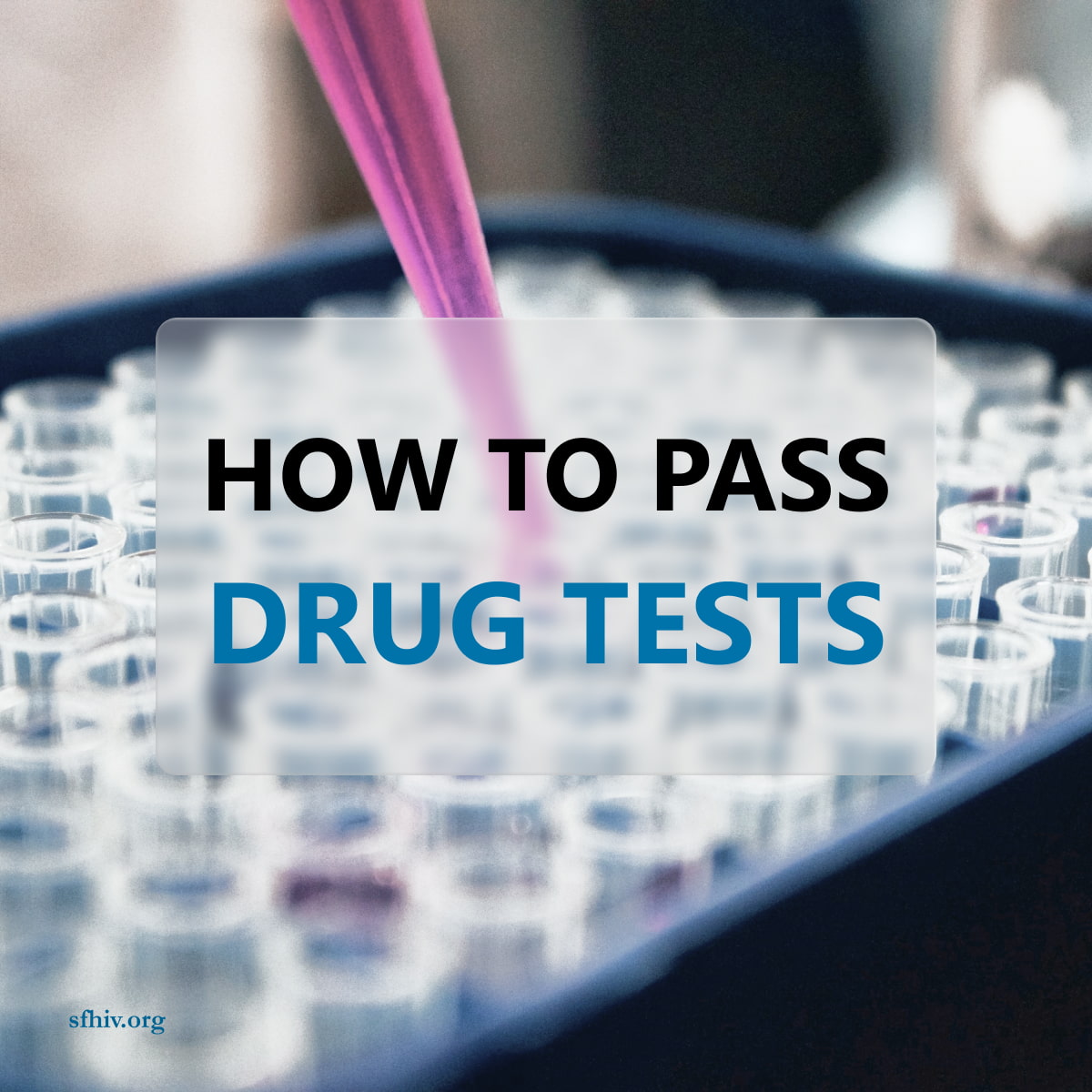 How To Pass Drug Tests